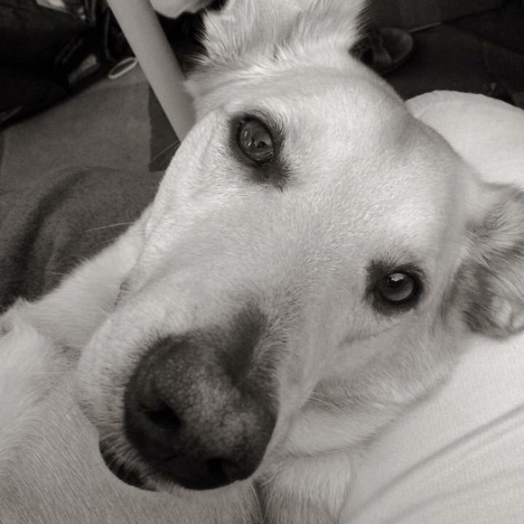 Meet your Posher, Melissa - Picture 2 of 2